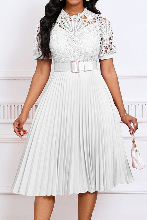Elegant Lace Pleated A-line Dress
