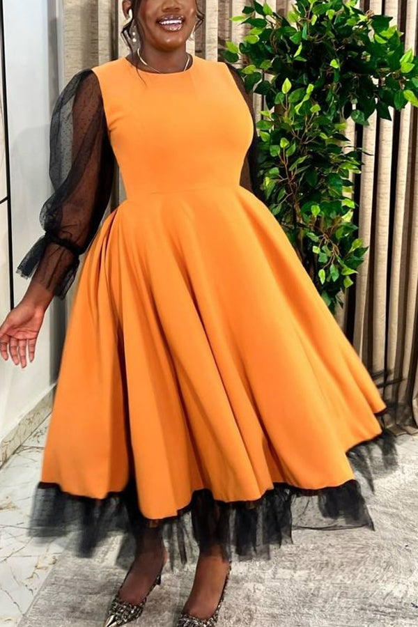 Elegant Mesh Paneled Pleated A-Line Dress