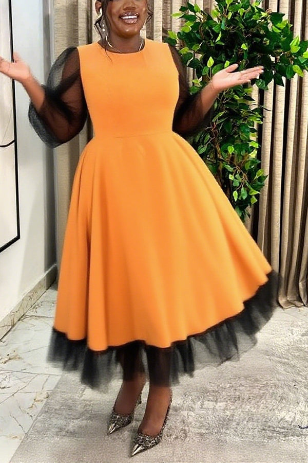 Elegant Mesh Paneled Pleated A-Line Dress