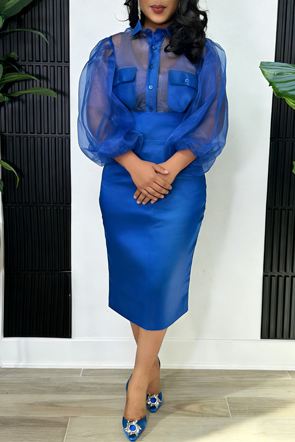Elegant Sheer Blouse & Pencil Skirt Set