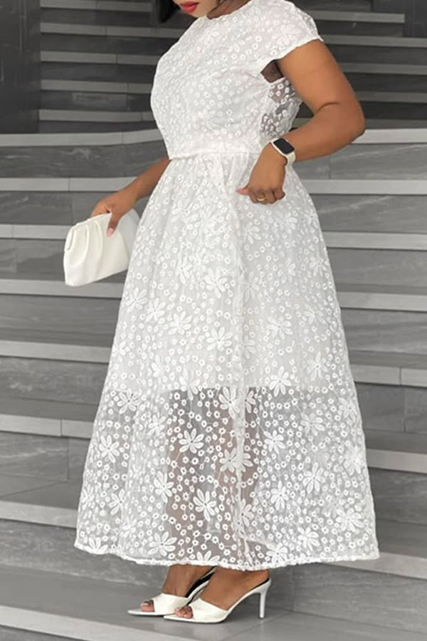 Stylish Embroidered Mesh Midi Dress
