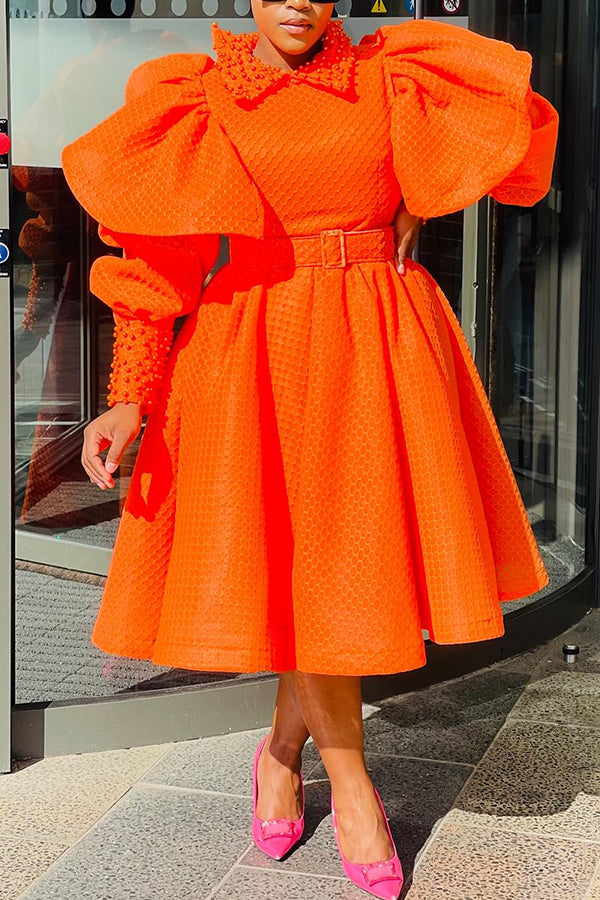 Retro Shirt Collar Flutter Sleeve Dress