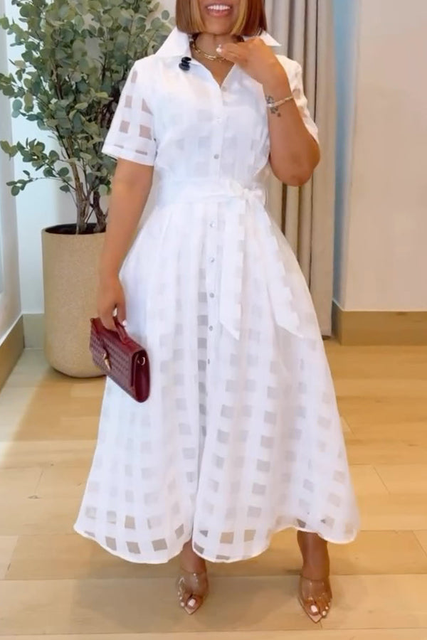 Stylish Plaid Mesh Belted Maxi Dress