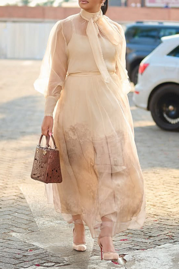 Chic Tie Neck Lantern Sleeve Dress