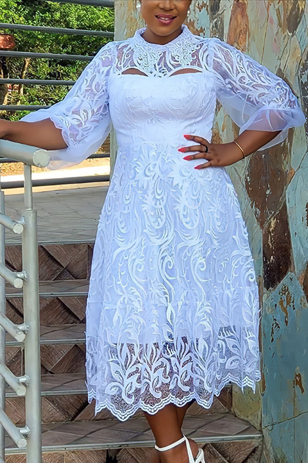 Elegant Lace Mesh Overlay Midi Dress