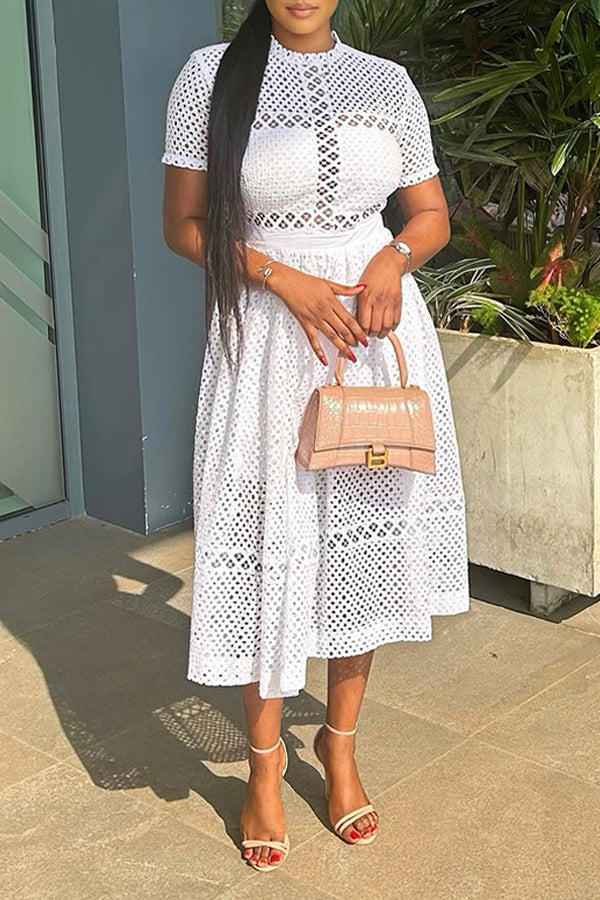 Elegant Round Neck Lace A-line Dress
