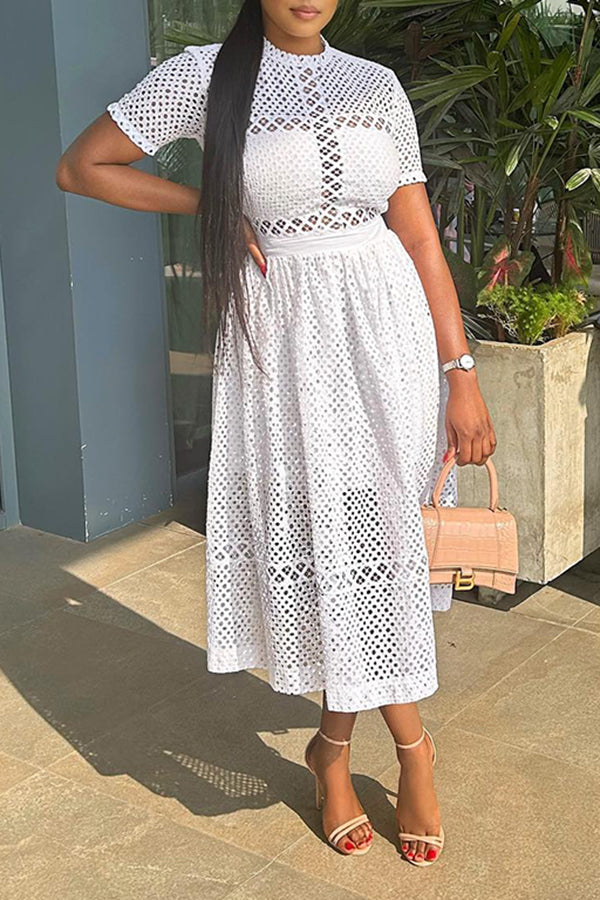 Elegant Round Neck Lace A-line Dress