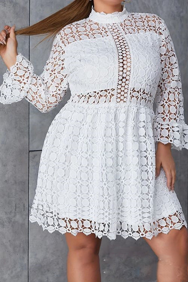Ruffled Sleeve Lace Cutout Dress*