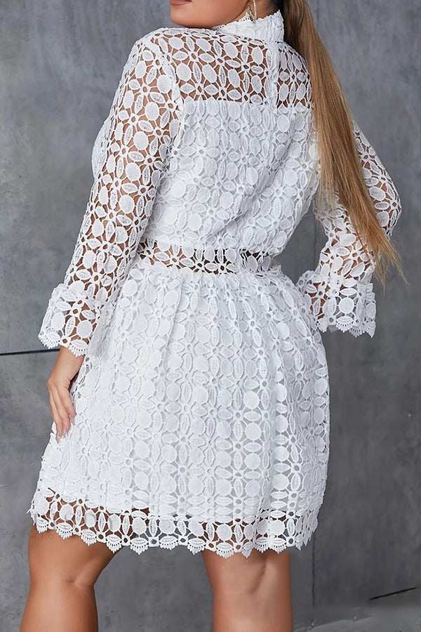Ruffled Sleeve Lace Cutout Dress*